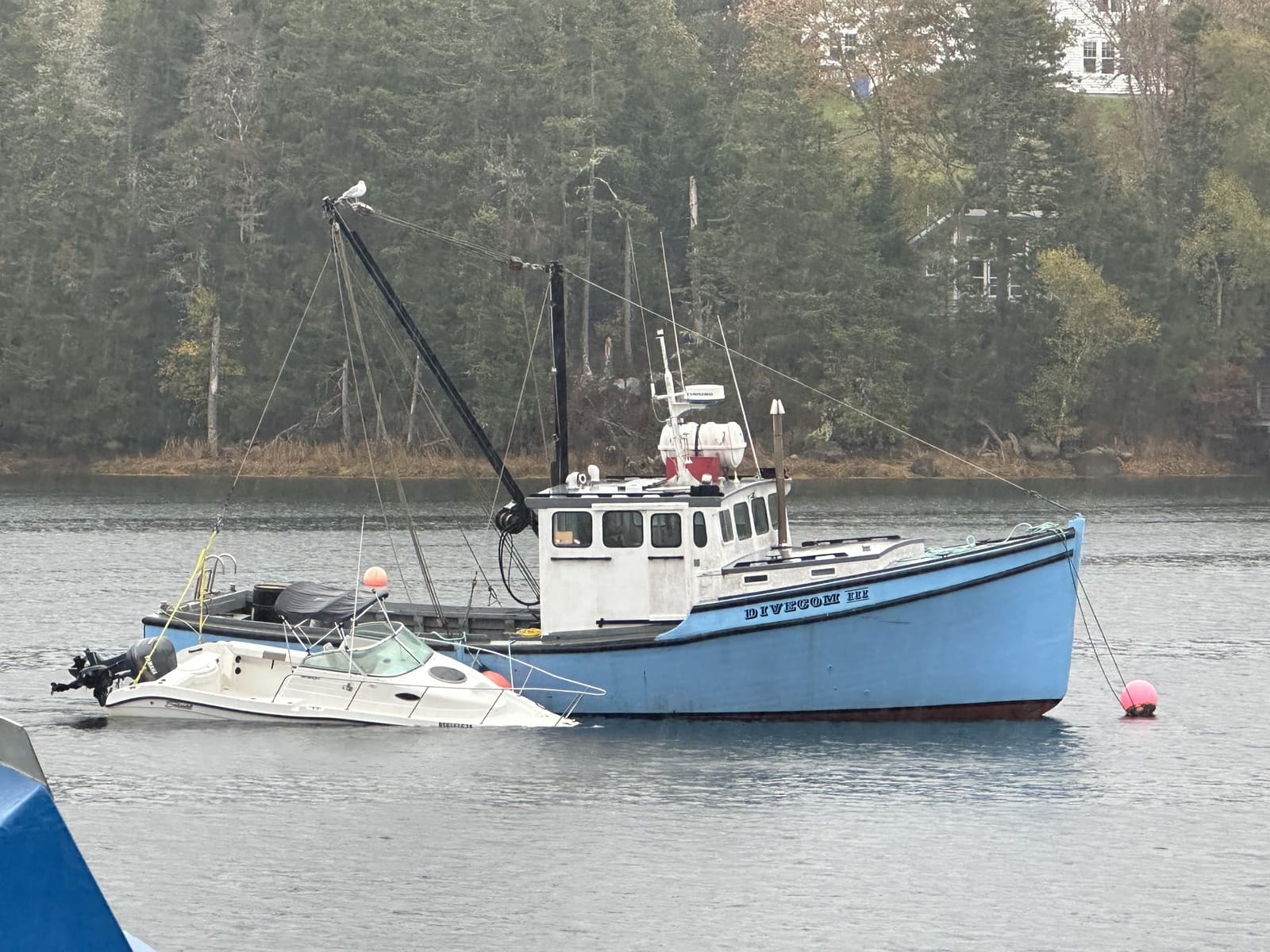Marine Salvage Services